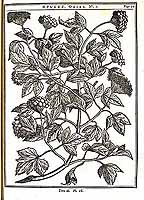  no thumbnail available