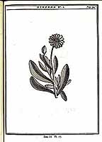  no thumbnail available