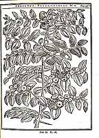  no thumbnail available