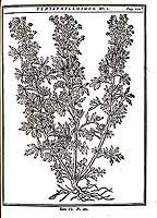  no thumbnail available