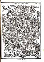  no thumbnail available