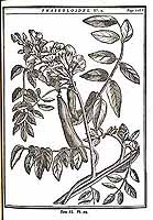  no thumbnail available