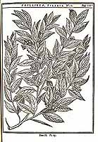  no thumbnail available