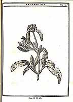  no thumbnail available