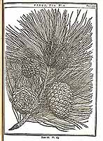  no thumbnail available