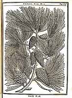  no thumbnail available