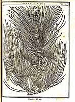  no thumbnail available