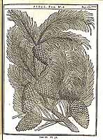  no thumbnail available