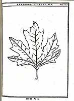  no thumbnail available