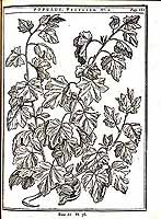  no thumbnail available