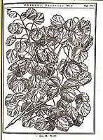  no thumbnail available