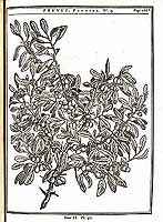  no thumbnail available