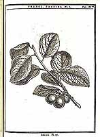  no thumbnail available