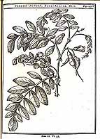  no thumbnail available