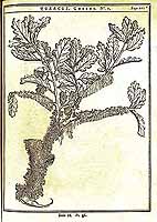  no thumbnail available