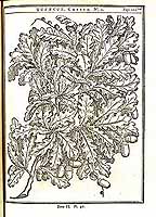  no thumbnail available