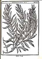  no thumbnail available