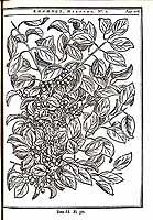  no thumbnail available