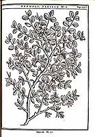  no thumbnail available