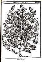  no thumbnail available