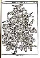  no thumbnail available