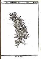  no thumbnail available