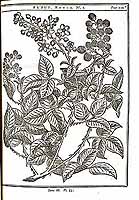  no thumbnail available