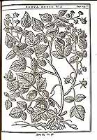  no thumbnail available