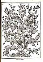  no thumbnail available