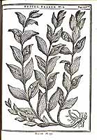  no thumbnail available