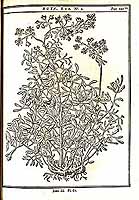  no thumbnail available