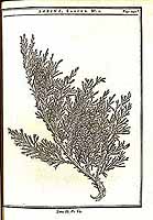  no thumbnail available