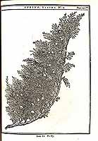  no thumbnail available