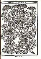  no thumbnail available