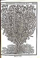  no thumbnail available