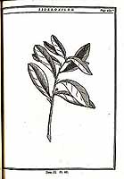  no thumbnail available