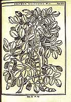  no thumbnail available