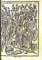  no thumbnail available