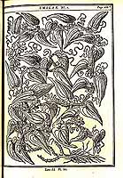  no thumbnail available