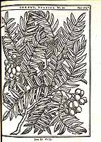  no thumbnail available