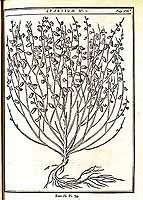  no thumbnail available