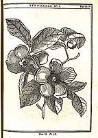  no thumbnail available