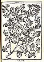  no thumbnail available