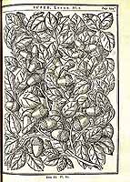  no thumbnail available