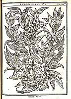  no thumbnail available