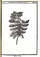  no thumbnail available