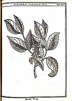  no thumbnail available