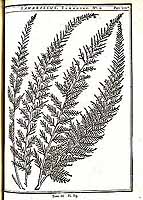  no thumbnail available