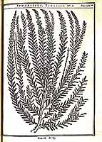  no thumbnail available