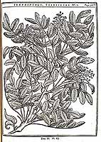  no thumbnail available